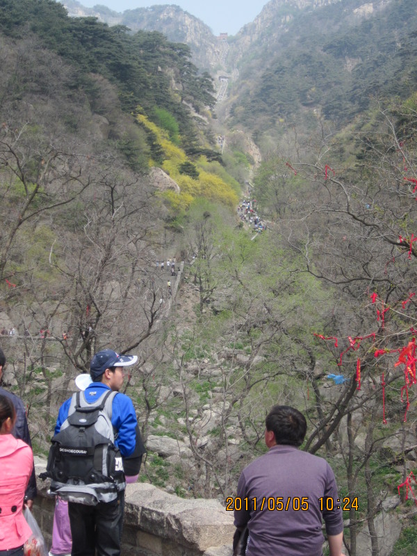 登泰山 图片