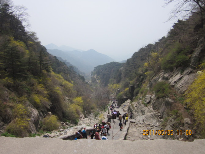 登泰山 图片